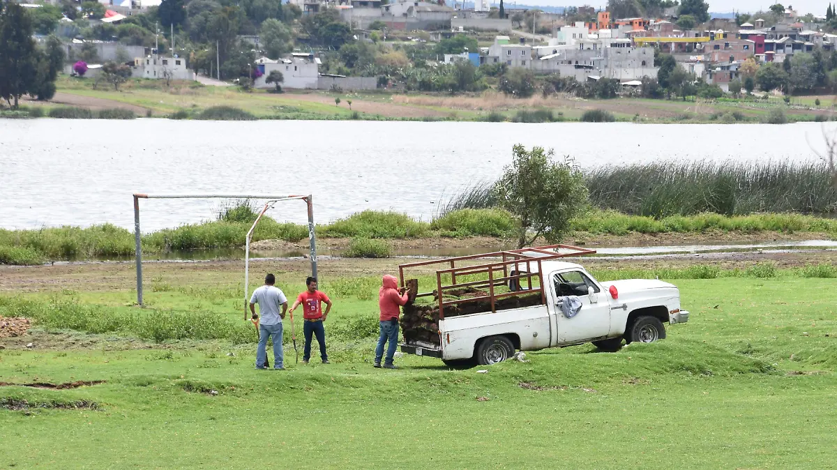 PASTO ACUITLAPILCO (1)